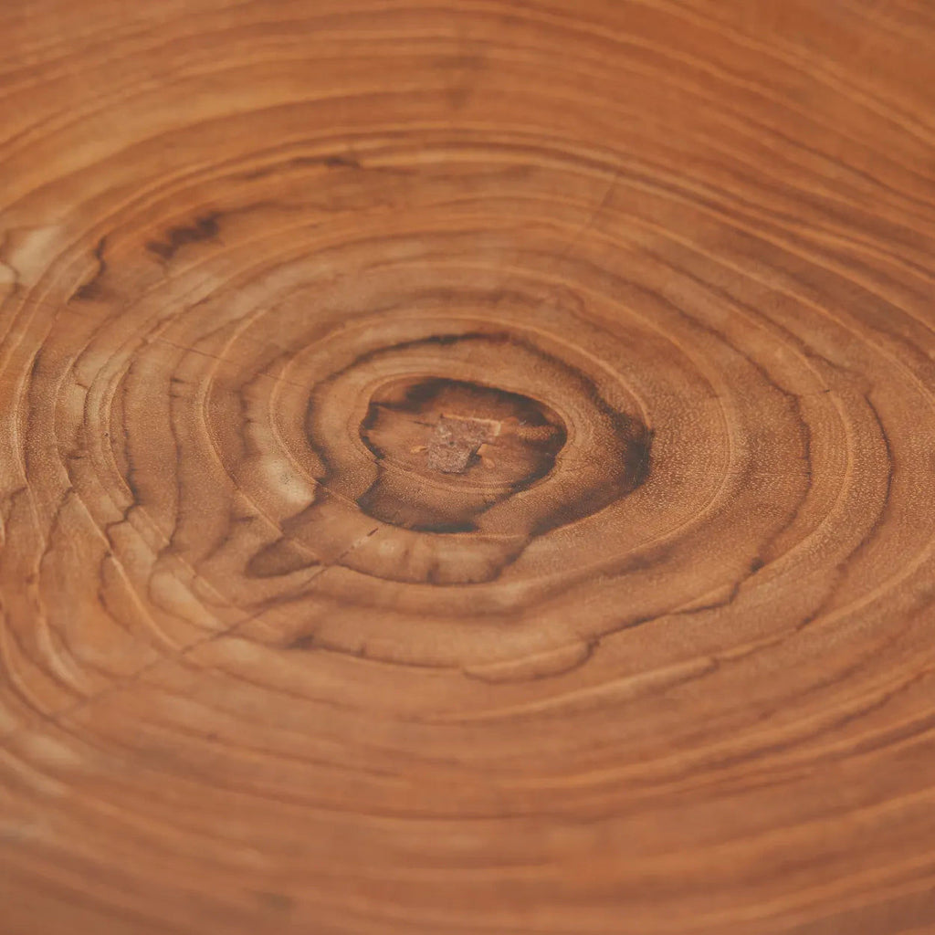 The Teak Root Organic Plate