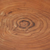 The Teak Root Organic Plate