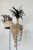 The Shell Hat on Stand - Natural Black