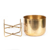 The Brass Planter on Stand - Brass - XL