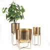 The Brass Planter on Stand - Brass - XL