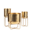 The Brass Planter on Stand - Brass - XL